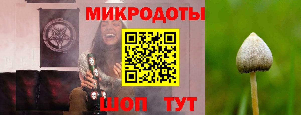 Псилоцибиновые грибы MAGIC MUSHROOMS  Вход с VPN  Людиново 