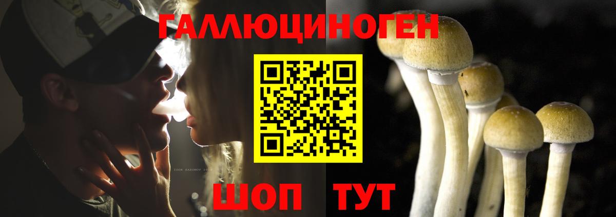 Галлюциногенные грибы GOLDEN TEACHER Людиново